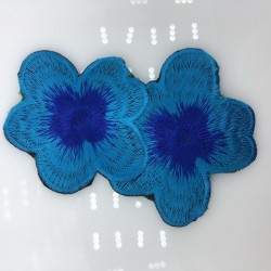 aa
