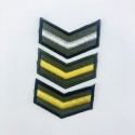 Pagony militarne