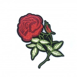 Róża