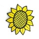 Słonecznik